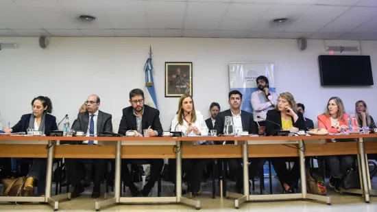 Exposición del proyecto de ley en Diputados